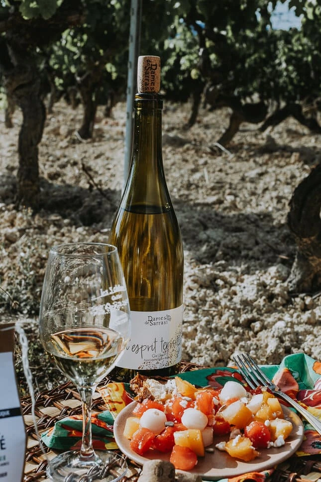 esprit terroir blanc sec gaillac