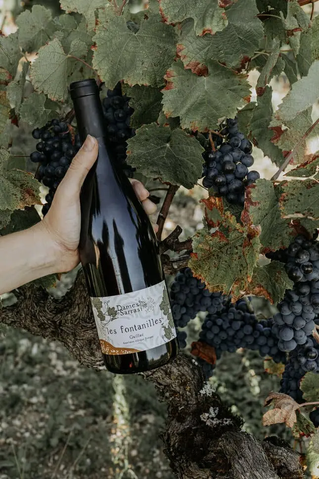 fontanilles, vin rouge gaillac, dames de sarrasi 